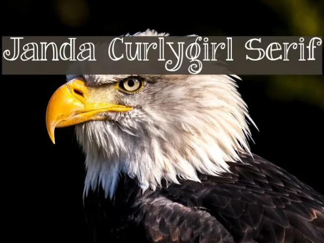 Janda Curlygirl Serif Example 2