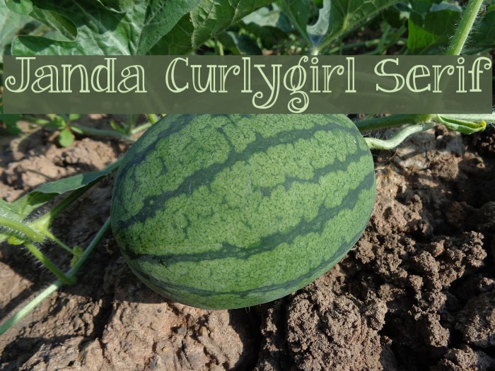 Janda Curlygirl Serif Font examples