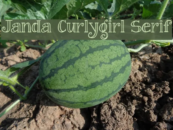 Janda Curlygirl Serif Example 3