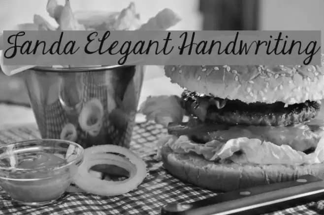 Janda Elegant Handwriting Font examples
