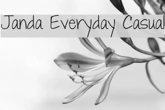 Janda Everyday Casual Font examples
