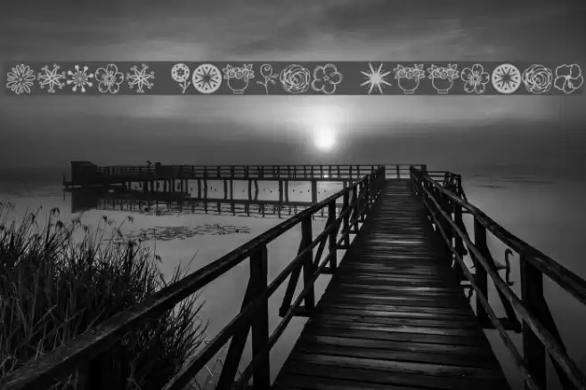 Janda Flower Doodles Font examples