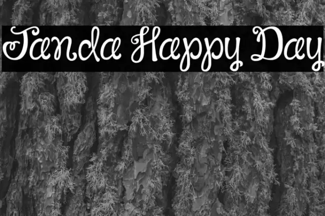 Janda Happy Day Font examples