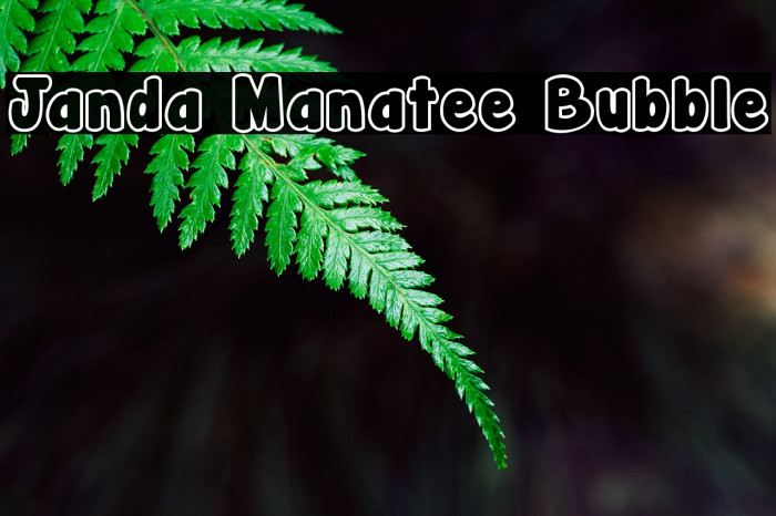 Janda Manatee Bubble Font examples