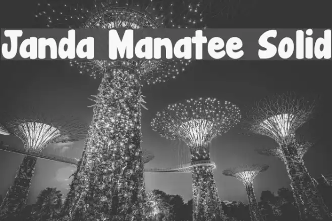 Janda Manatee Solid Font examples