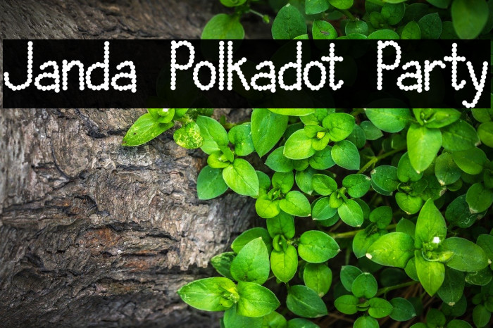 Janda Polkadot Party Font examples