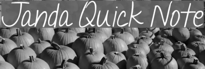 Janda Quick Note Font examples