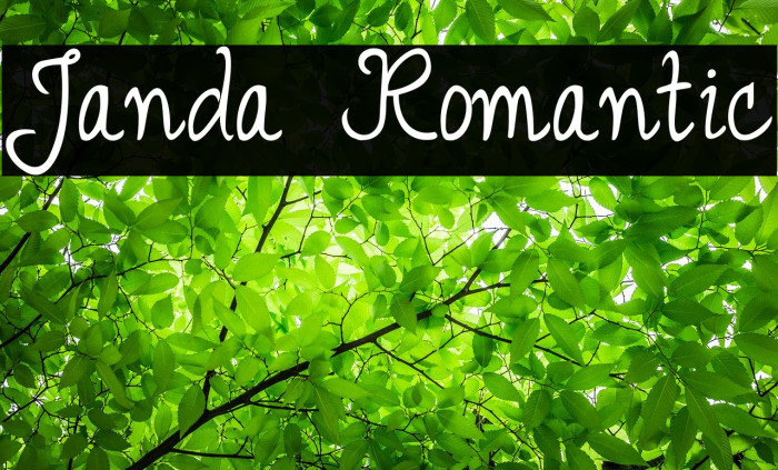 Janda Romantic Font examples