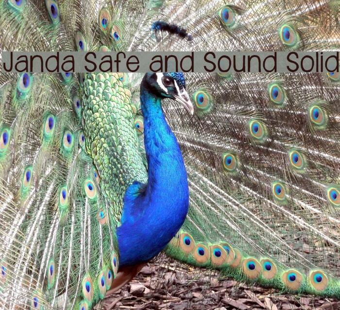 Janda Safe and Sound Solid Font examples