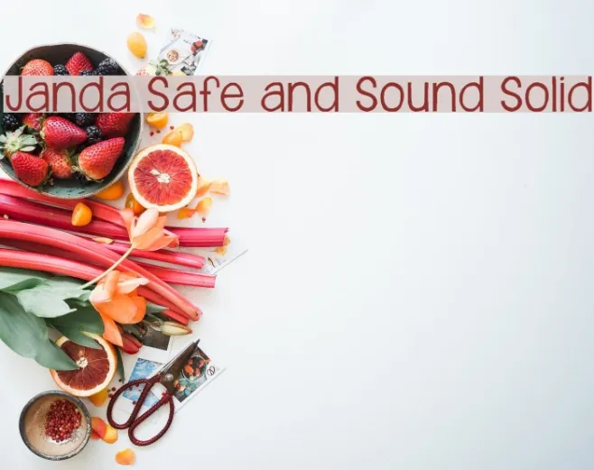 Janda Safe and Sound Solid Example 2