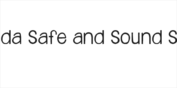 Janda Safe and Sound Solid Logo