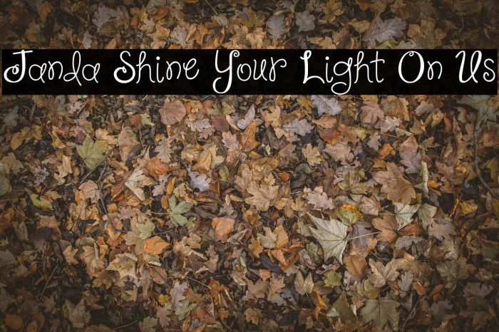 Janda Shine Your Light On Us Font examples