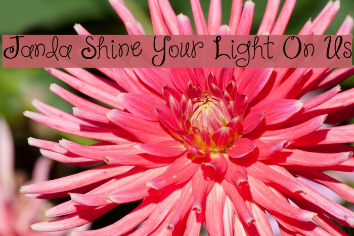 Janda Shine Your Light On Us Font examples