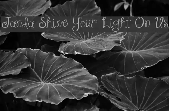 Janda Shine Your Light On Us Font examples