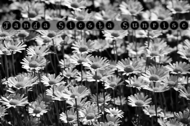 Janda Siesta Sunrise Font examples