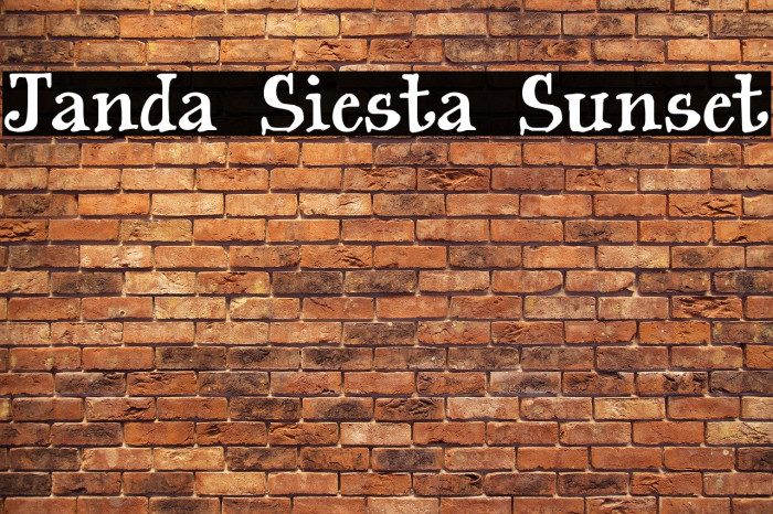 Janda Siesta Sunset Font examples