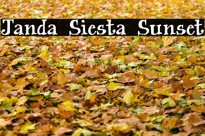 Janda Siesta Sunset Font examples