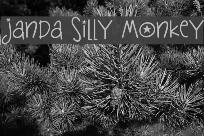 Janda Silly Monkey Font examples