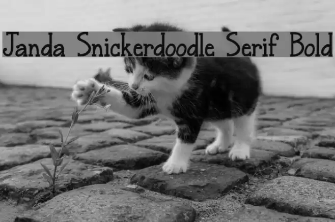Janda Snickerdoodle Serif Bold Font examples
