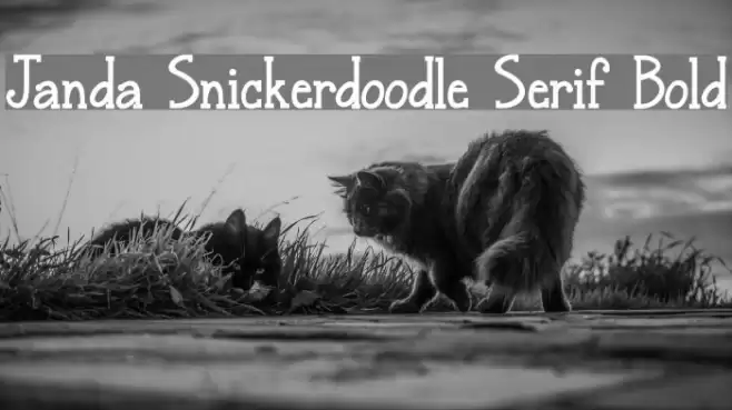 Janda Snickerdoodle Serif Bold Font examples