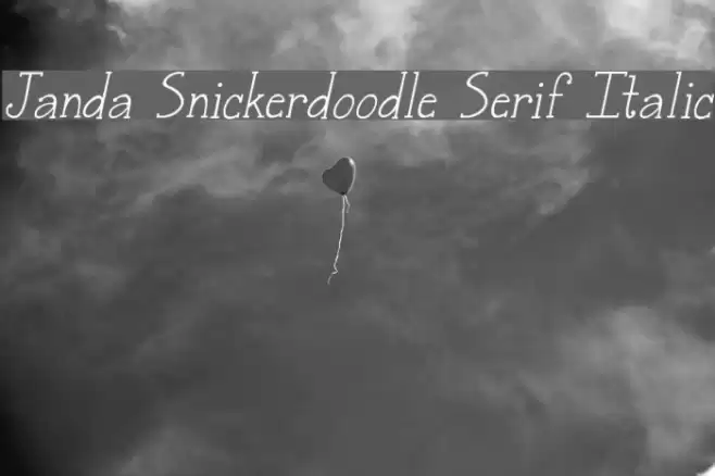 Janda Snickerdoodle Serif Italic Font examples