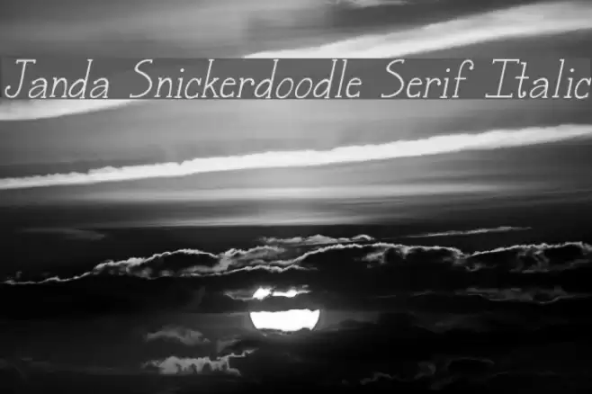 Janda Snickerdoodle Serif Italic Font examples