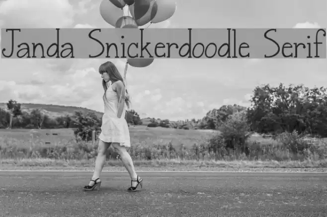 Janda Snickerdoodle Serif Font examples