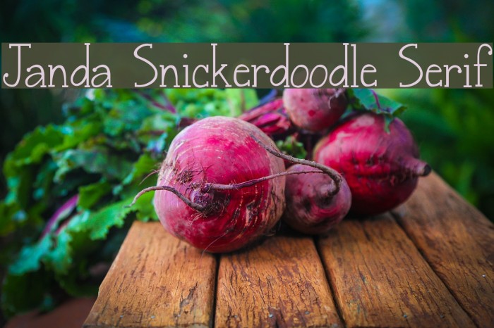 Janda Snickerdoodle Serif Font examples