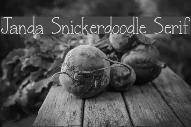 Janda Snickerdoodle Serif Font examples