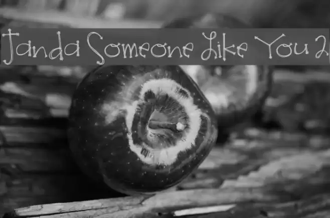 Janda Someone Like You 2 Font examples