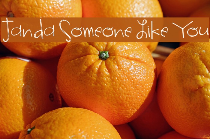 Janda Someone Like You Example 2