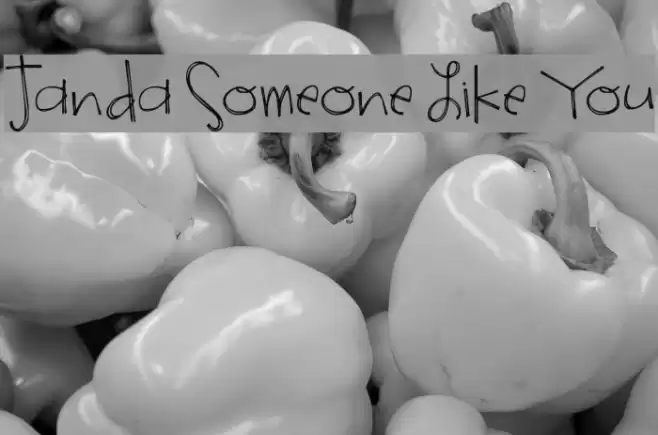 Janda Someone Like You Font examples