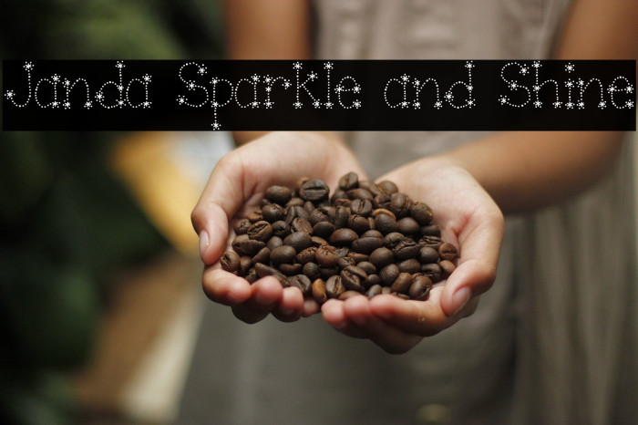 Janda Sparkle and Shine Font examples