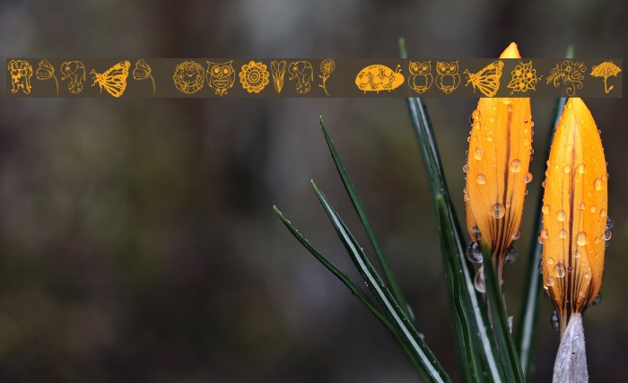 Janda Spring Doodles Font examples