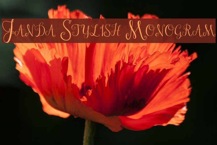 Janda Stylish Monogram Font examples