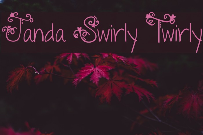 Janda Swirly Twirly Font examples