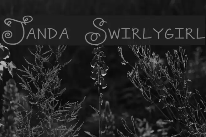 Janda Swirlygirl Font examples
