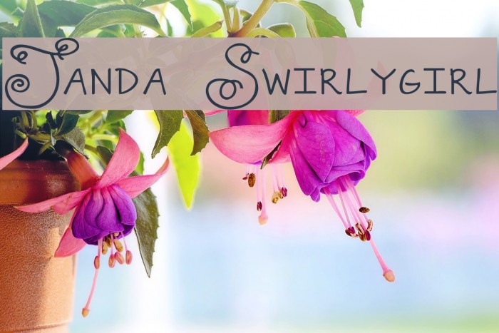 Janda Swirlygirl Font examples