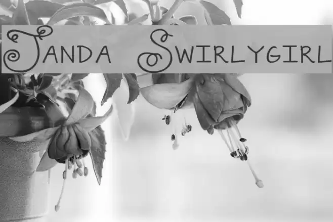 Janda Swirlygirl Font examples
