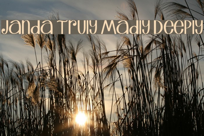 Janda Truly Madly Deeply Font examples