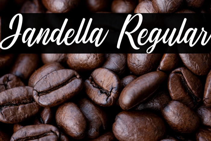 Jandella Regular Example 1
