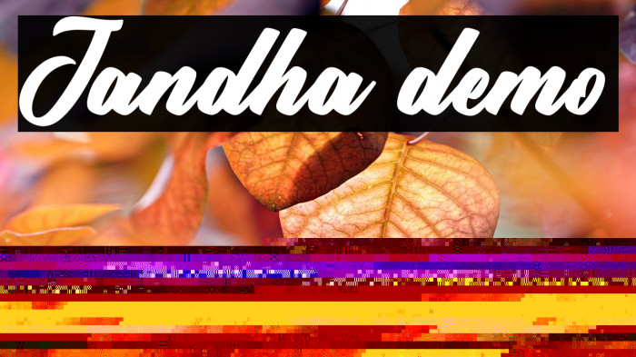 Jandha demo Example 3