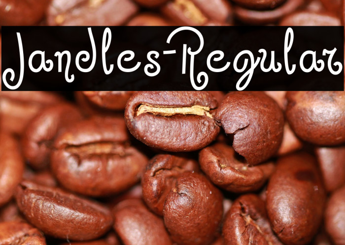 Jandles-Regular Font examples