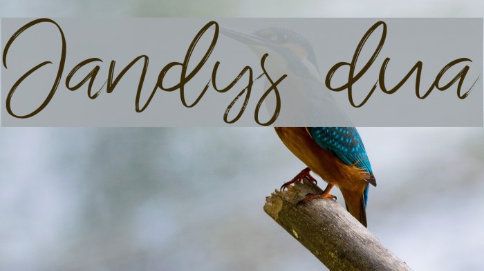 Jandys dua Example 1