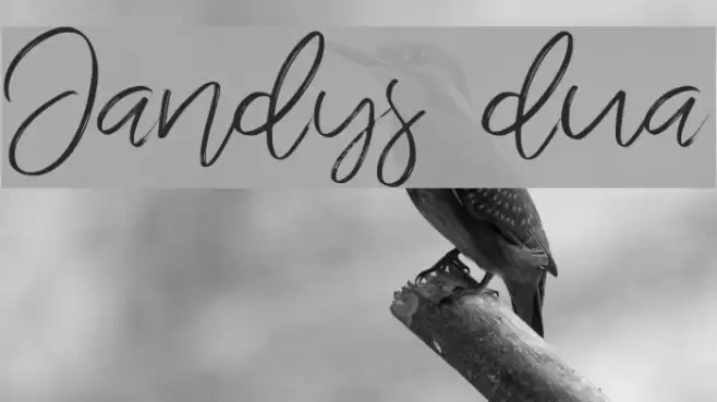 Jandys dua Font examples