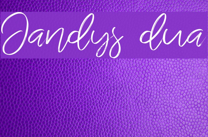 Jandys dua Example 2