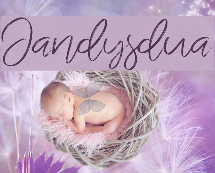 Jandysdua Font examples