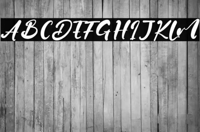 Jane Hans Font examples