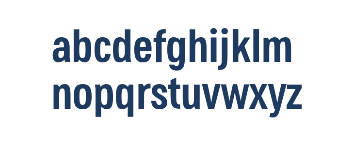 Jane Roe Bold Lowercase