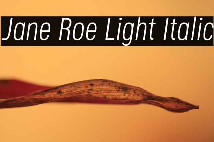 Jane Roe Light Italic Example 1